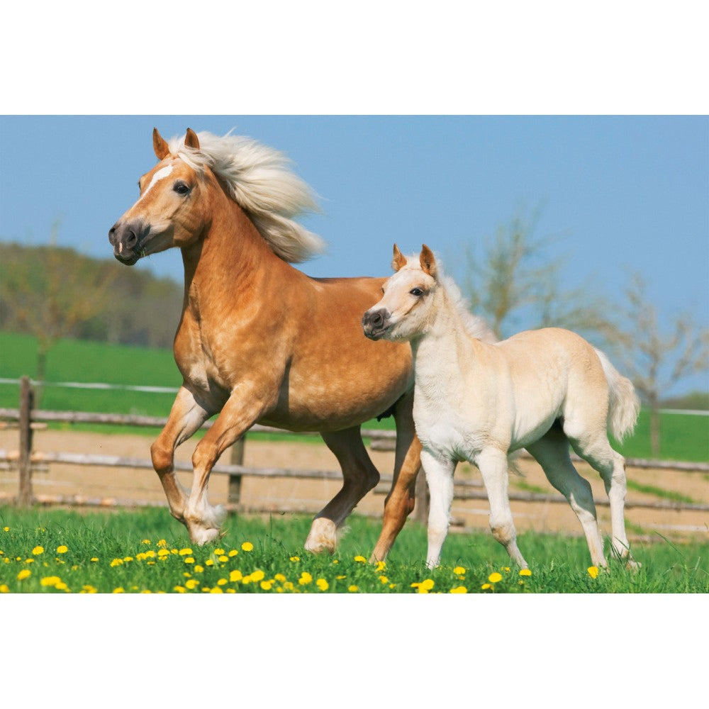 Imagine Puzzle Schmidt: Cai, Set de 2 x 26 piese si 2 x 48 piese + Bonus: cufar metalic