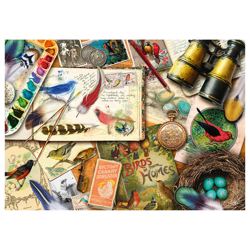 Imagine Puzzle Schmidt: Aimee Steward - Observarea pasarilor, 1000 piese