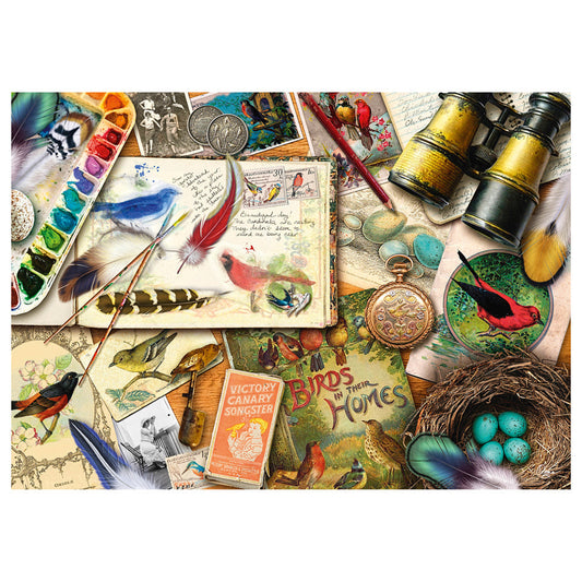 Imagine Puzzle Schmidt: Aimee Steward - Observarea pasarilor, 1000 piese