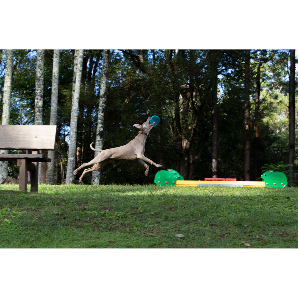 Imagine Disc zburator pentru caini - Waboba Jetwag frisbee