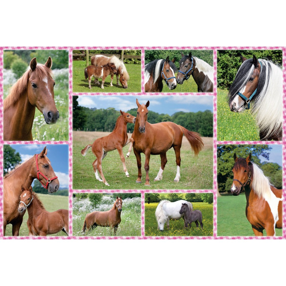 Imagine Puzzle Schmidt: Cai fermecatori, 150 piese