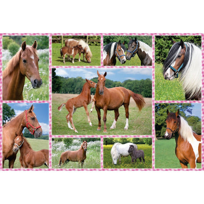 Imagine Puzzle Schmidt: Cai fermecatori, 150 piese