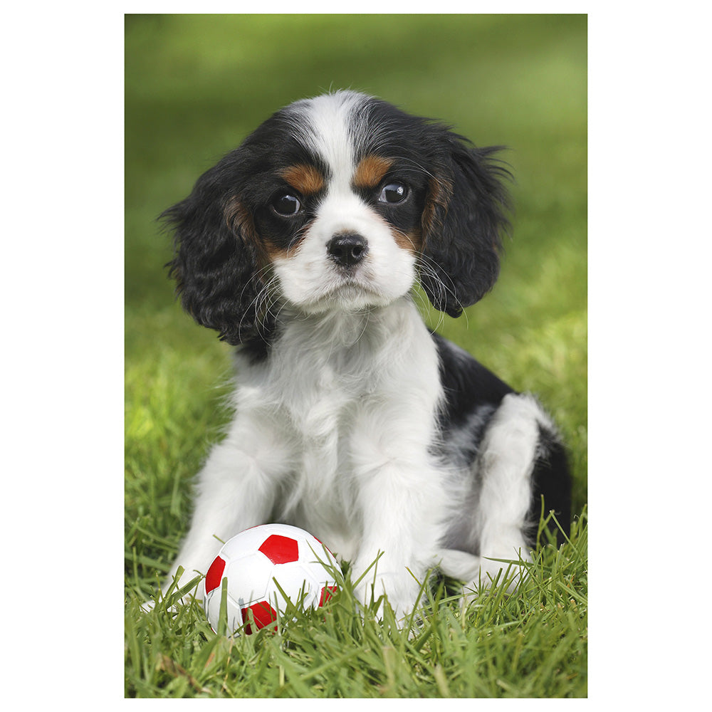 Puzzle Schmidt: Animalutele mele dragute, Set de 3 x 24 piese