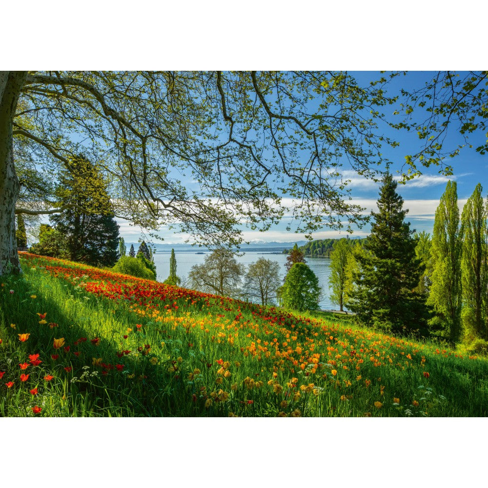 Imagine Puzzle Schmidt: Primavara cu lalele inflorite, Insula Mainau, 1000 piese