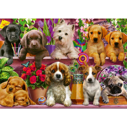 Imagine Puzzle Schmidt: Caini pe raft, 500 piese