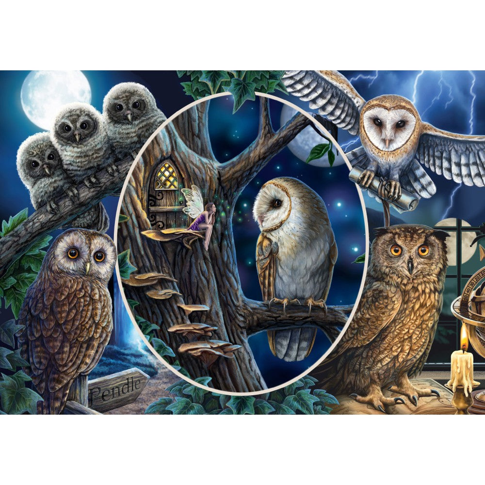 Imagine Puzzle Schmidt: Lisa Parker - Bufnitele misterioase, 1000 piese