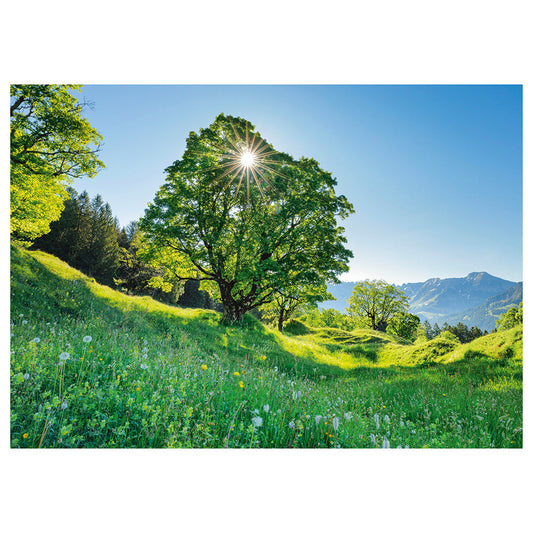 Puzzle Schmidt: Pajistea, St. Gallen, Elvetia, 1000 piese