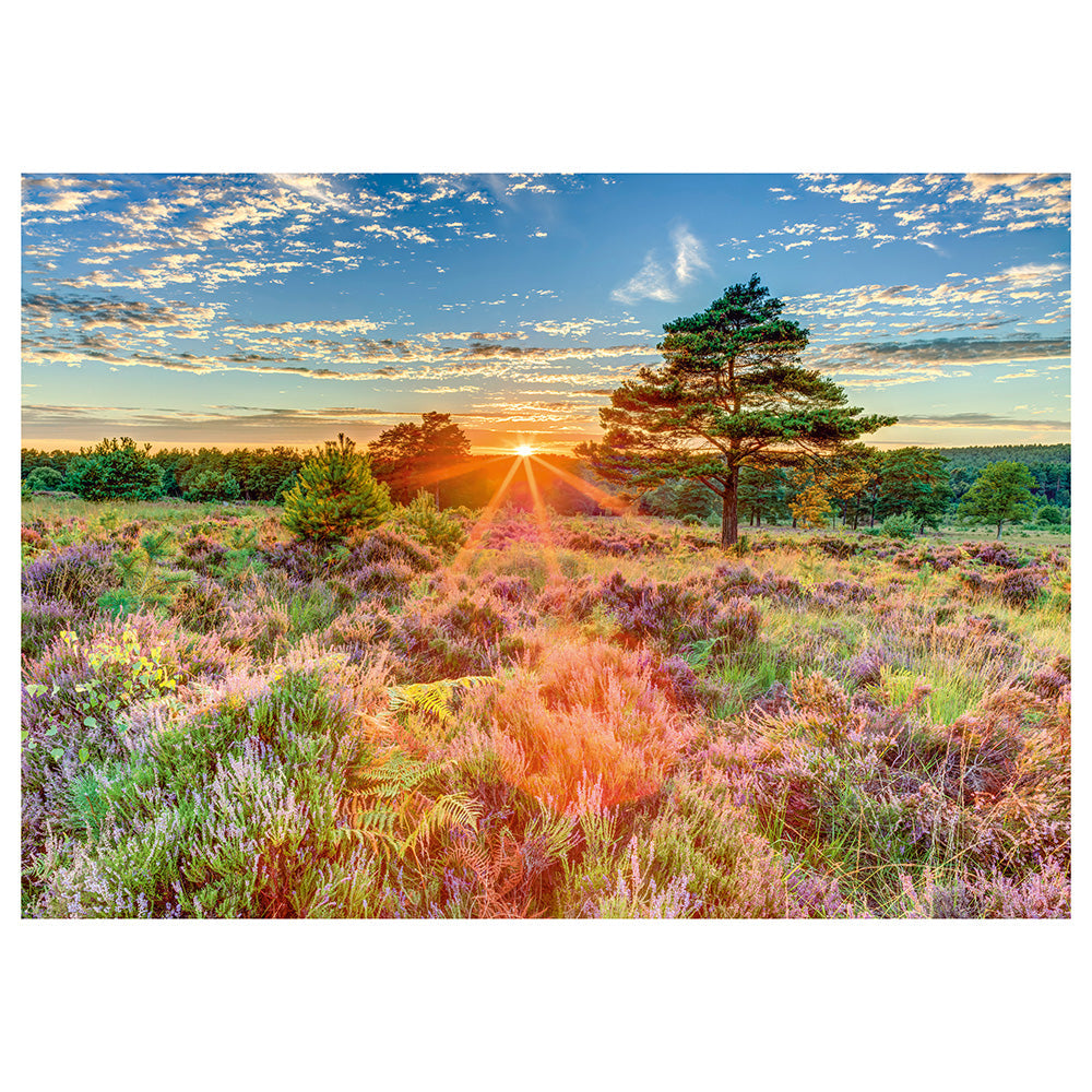 Puzzle Schmidt: Apus de soare, 1000 piese