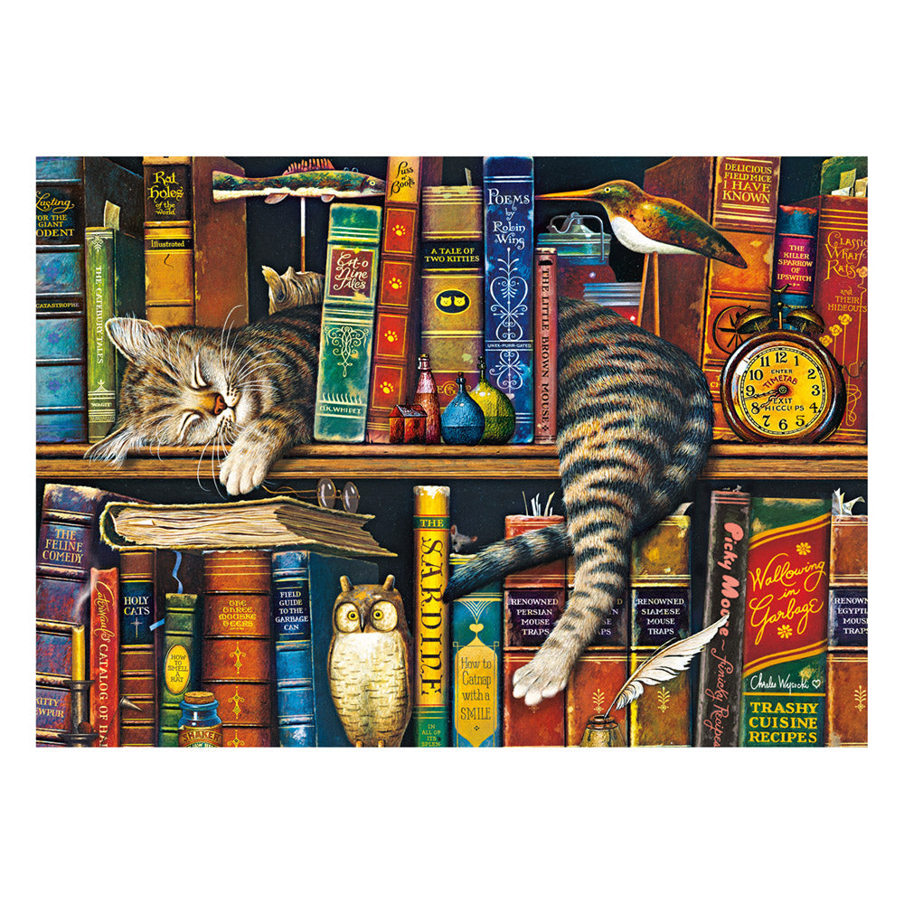 Imagine Puzzle Schmidt: Charles Wysocki Biblioteca lui Frederick, 1000 piese