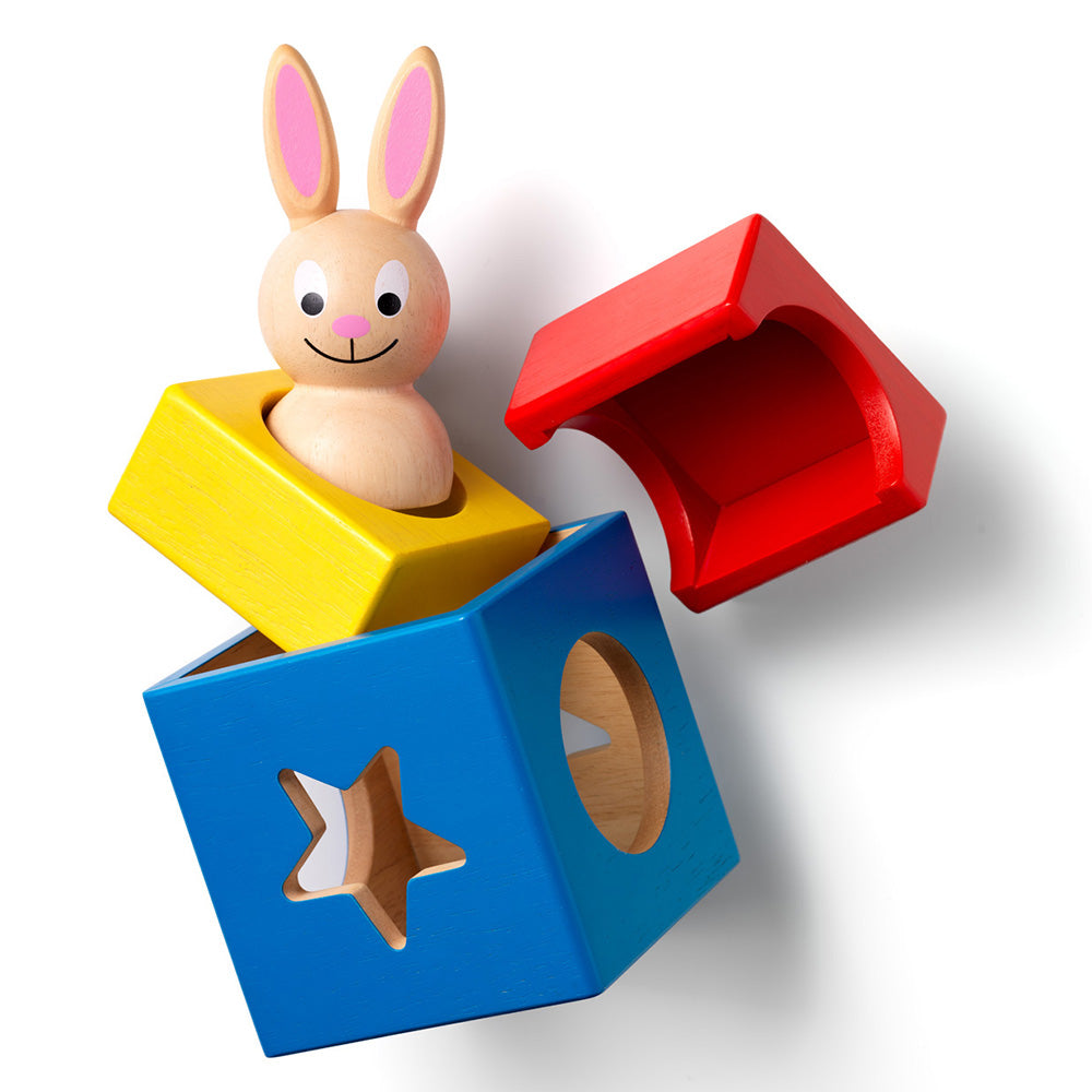 Smart Games - Bunny Boo, logikai játék 60 kihívással, 2+ év, lb kiadás. román