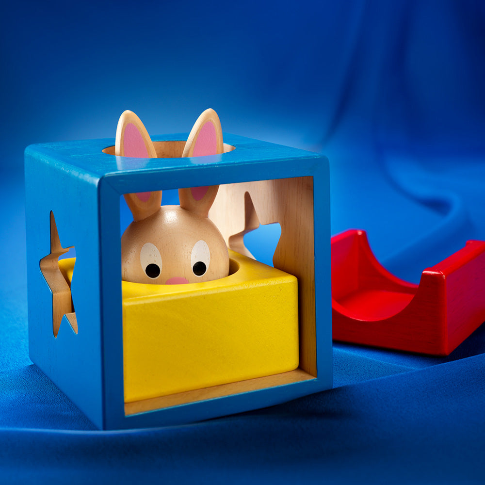 Smart Games - Bunny Boo, logikai játék 60 kihívással, 2+ év, lb kiadás. román