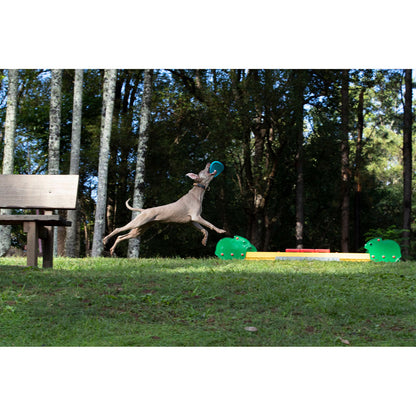 Imagine Disc zburator pentru caini - Waboba Jetwag frisbee