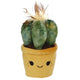 Jucarie de plus – Cactus in ghiveci - Model 2, 19 - 27 cm
