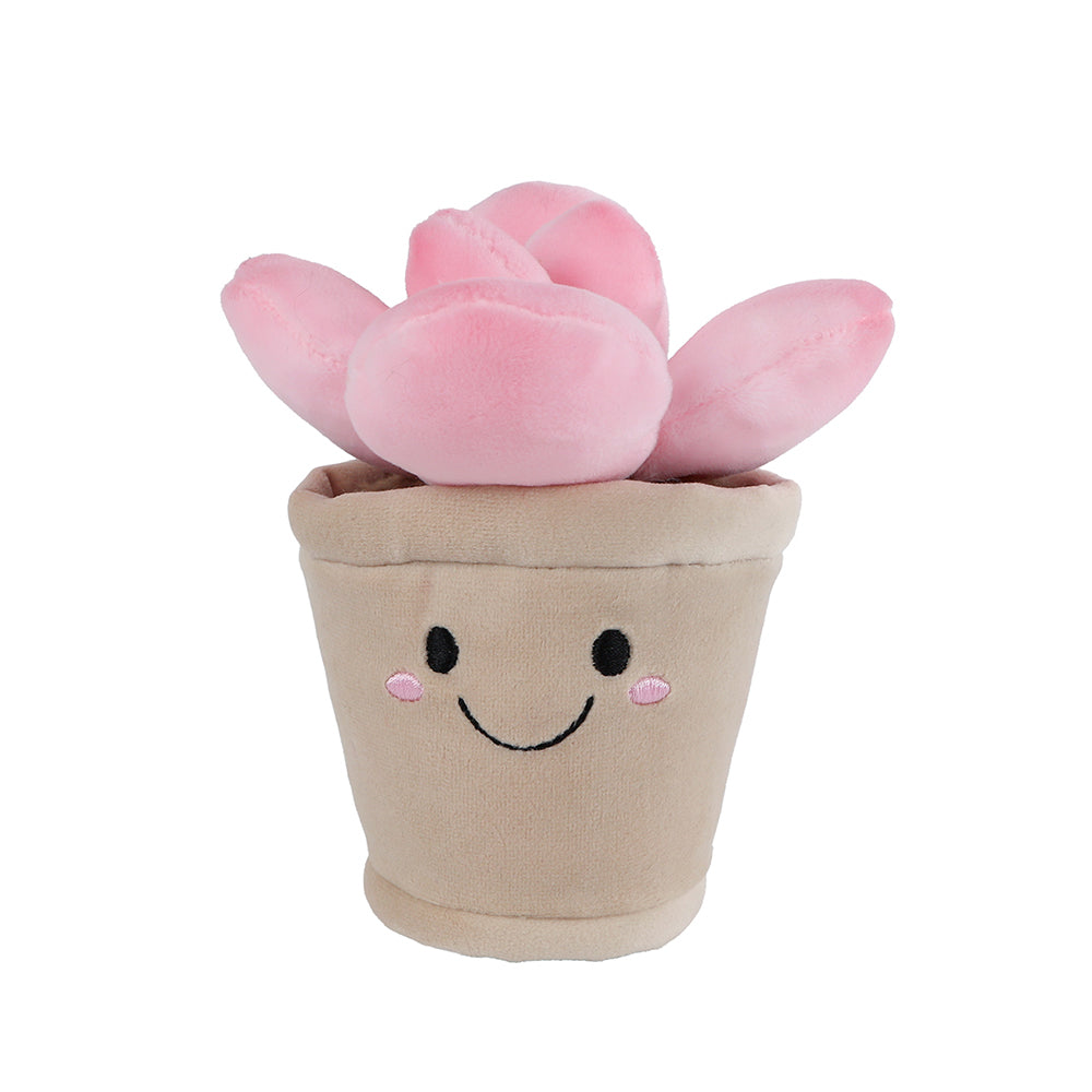 BLUSHY - Jucarie de plus –  Suculente in ghiveci - Roz, 13 cm