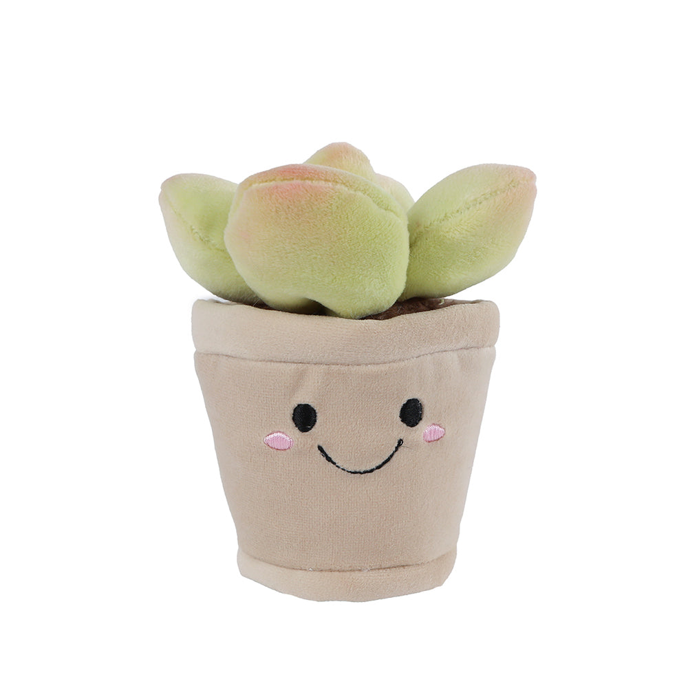 BLUSHY - Jucarie de plus –  Suculente in ghiveci - Verde, 13 cm