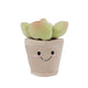 BLUSHY - Jucarie de plus –  Suculente in ghiveci - Verde, 13 cm