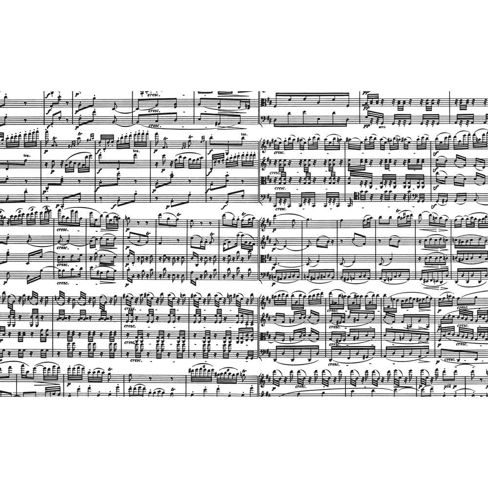 Puzzle Piatnik, Musical Notes, 1000 piese