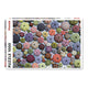 Puzzle Piatnik, Sea Urchin Pattern, 1000 piese