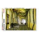 Puzzle Piatnik, Andalusian Street, 1000 piese
