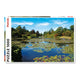 Puzzle Piatnik, Water Lily Pond Landscape, 1000 piese