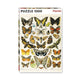 Puzzle Piatnik, Butterflies and Moths - Adolphe Millot, 1000 piese