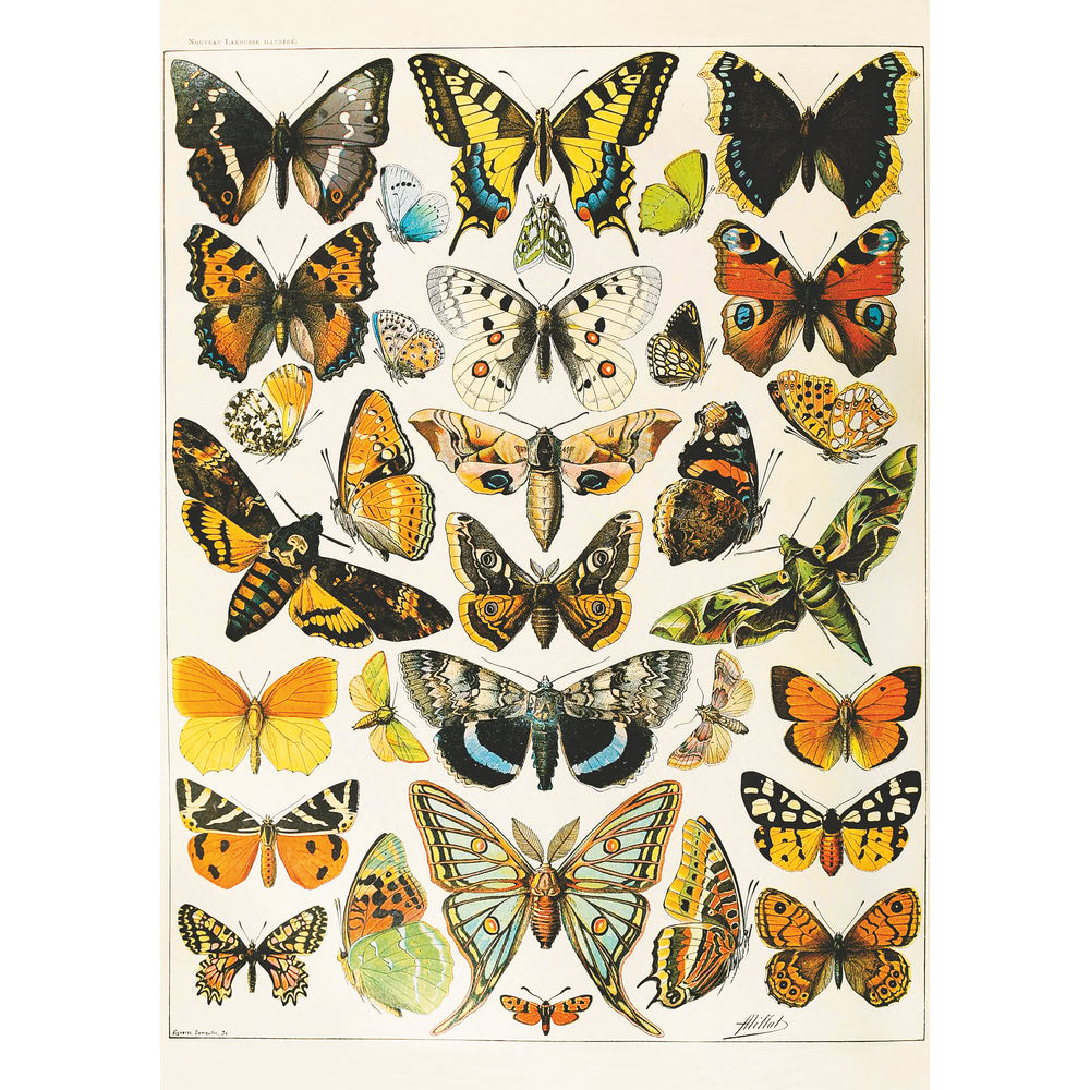 Puzzle Piatnik, Butterflies and Moths - Adolphe Millot, 1000 piese