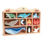 Imagine Animalutele apelor pe raft - Coastal Creatures - 10 piese - TL8479