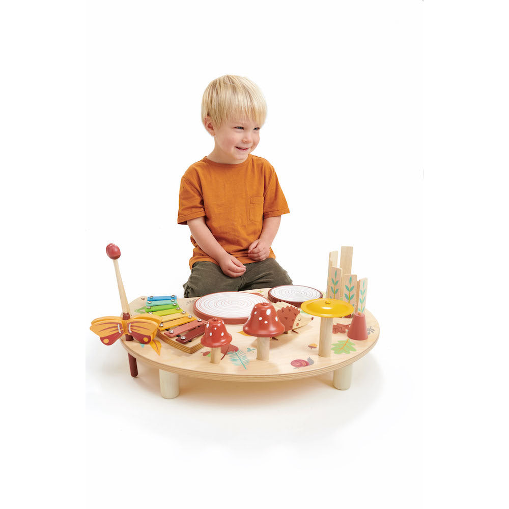 Imagine Masuta mea muzicala - MUSICAL TABLE - TL8655