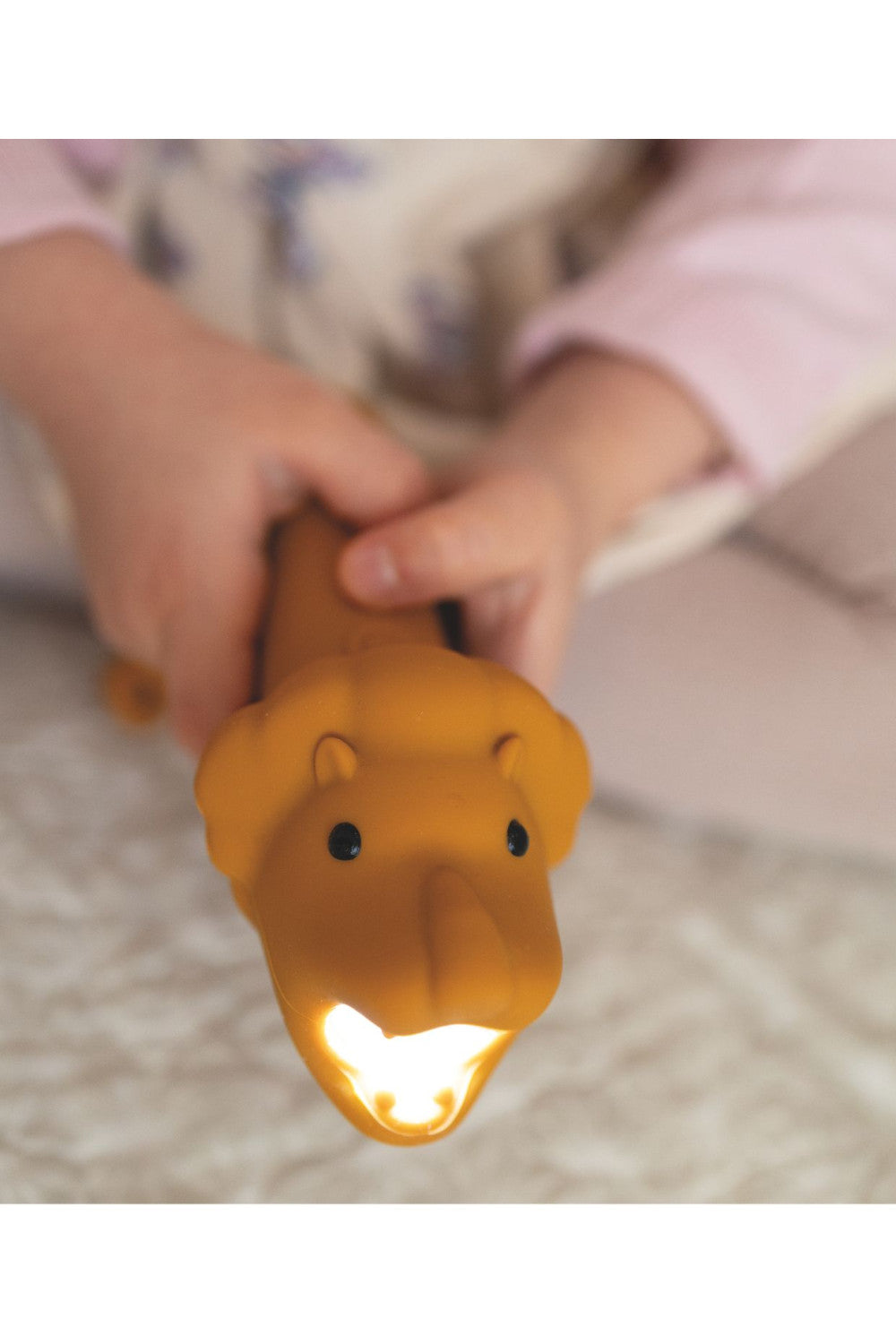 Lanternă pentru copii Rabbit & Friends LEO